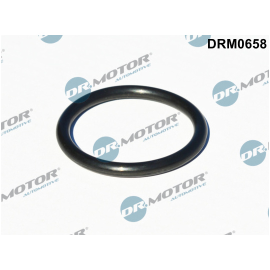 DRM0658 - Seal, turbine inlet (charger) 