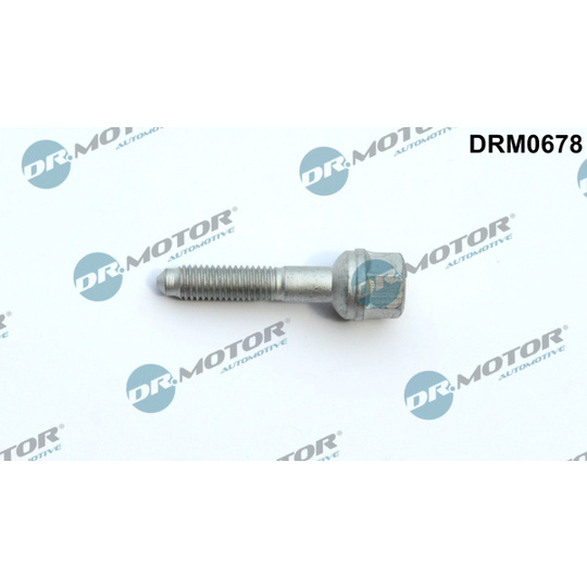 DRM0678 - Screw, injection nozzle holder 