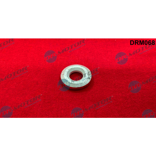 DRM068 - Seal Ring, injector 