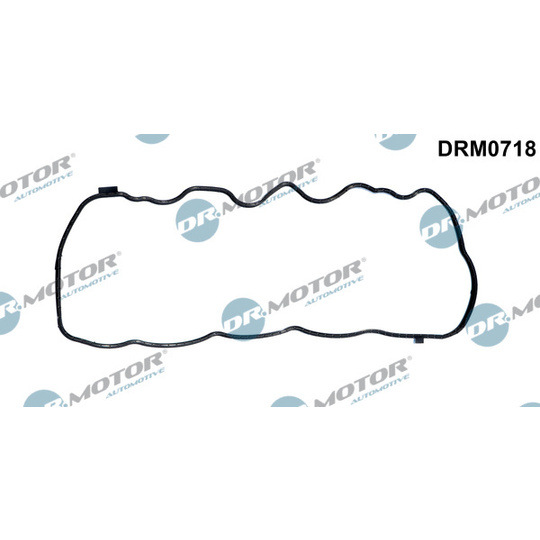 DRM0718 - Gasket, timing case cover 