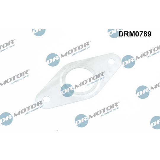 DRM0789 - Gasket, EGR valve pipe 