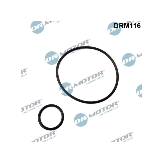 DRM116 - Gasket Set, intake manifold 