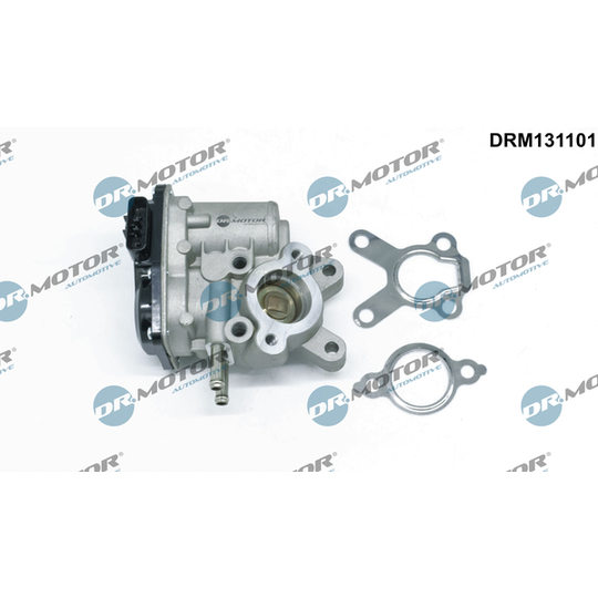 DRM131101 - EGR Valve 