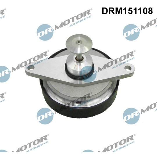DRM151108 - EGR-klapp 
