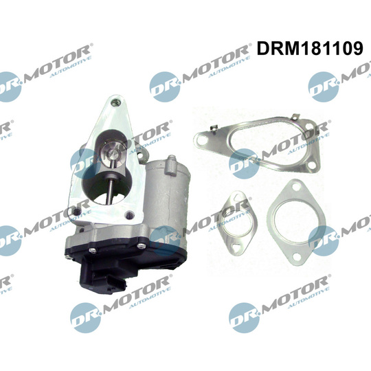 DRM181109 - EGR Valve 