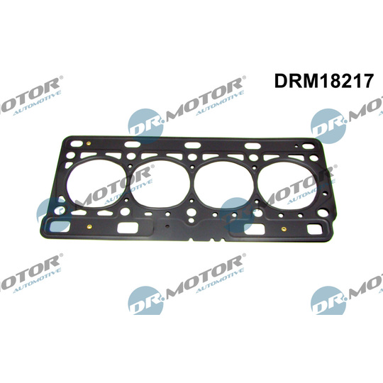 DRM18217 - Gasket, cylinder head 