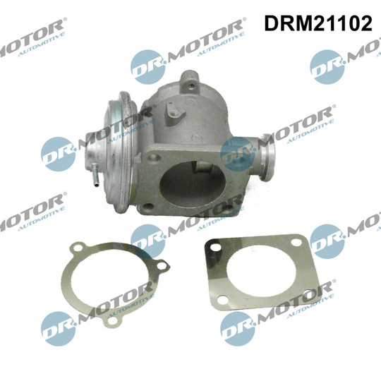 DRM21102 - EGR Valve 