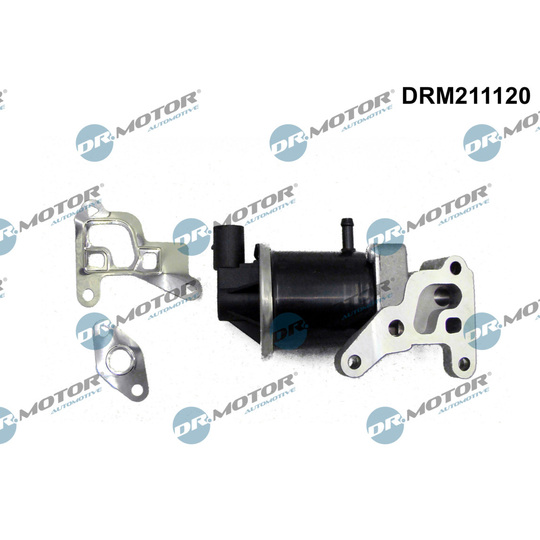 DRM211120 - EGR Valve 