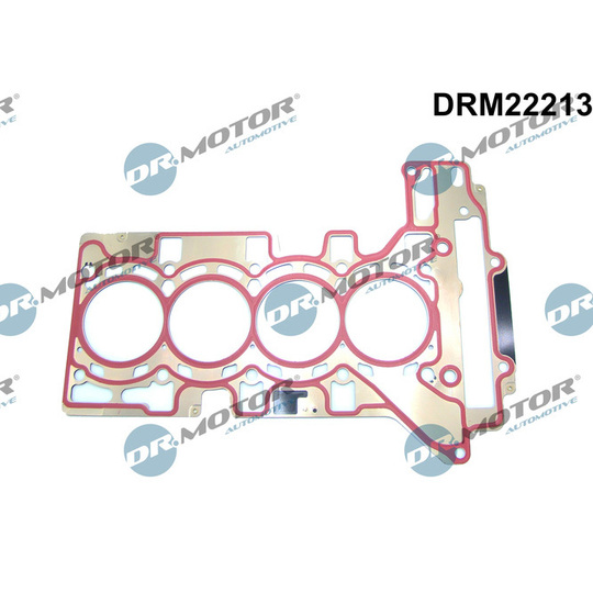 DRM22213 - Gasket, cylinder head 