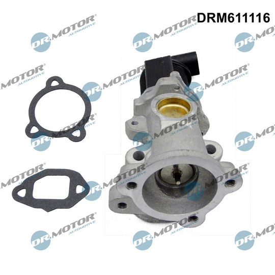 DRM611116 - EGR Valve 