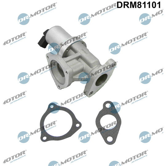 DRM81101 - EGR Valve 