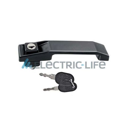 ZR80388 - Door Handle 