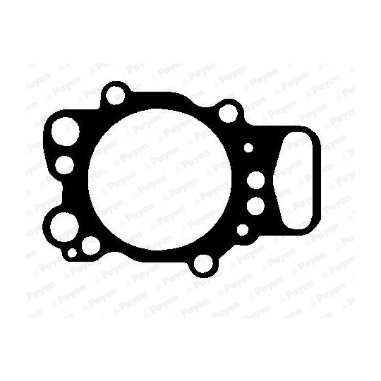 AH6550 - Gasket, cylinder head 