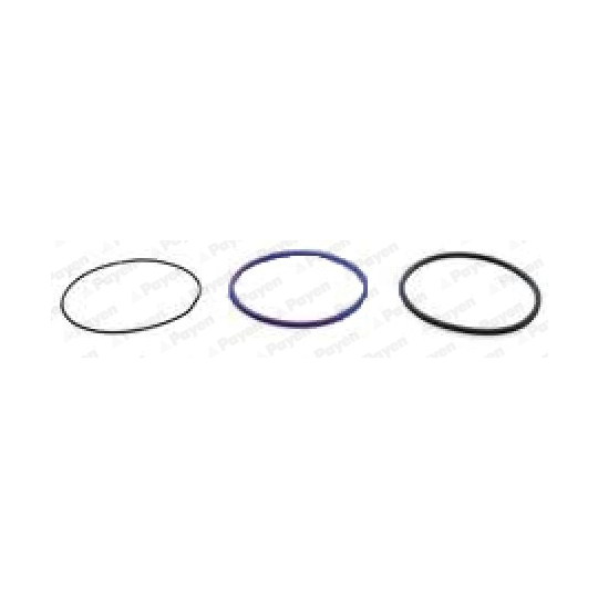 HL5379 - O-Ring Set, cylinder sleeve 