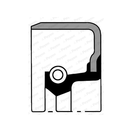 NA543 - Shaft Seal, crankshaft 