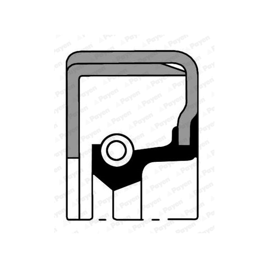 NF096 - Shaft Seal, manual transmission 