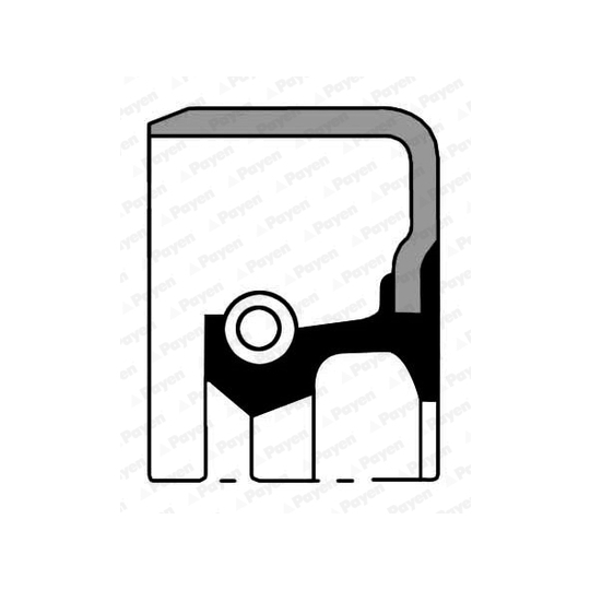 NF036 - Shaft Seal, wheel hub 