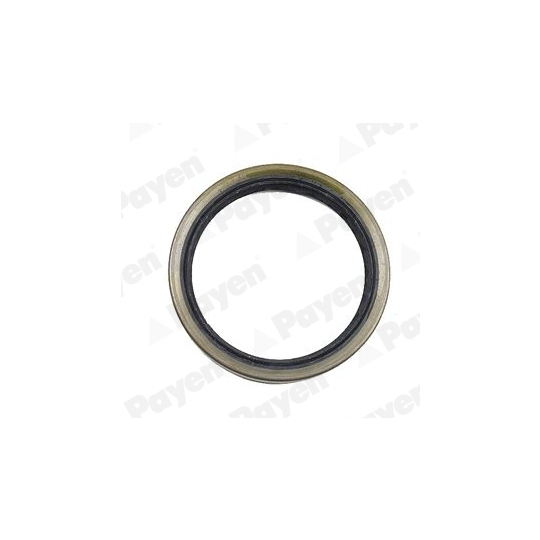 NJ141 - Shaft Seal, wheel hub 