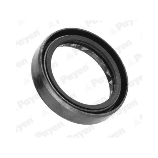 NJ125 - Shaft Seal, manual transmission 