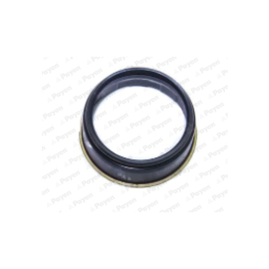 NJ702 - Shaft Seal, differential 