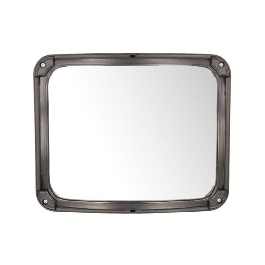 DAF-MR-026 - Outside Mirror 