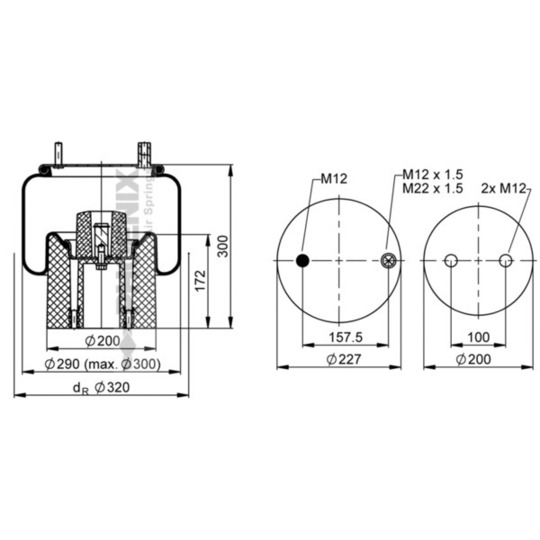 1 DK 21 A-3 - Pneumatic suspension bellows 