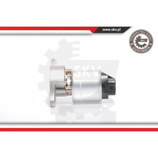 14SKV035 - EGR Valve 