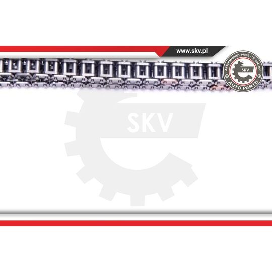 21SKV113 - Timing Chain Kit 