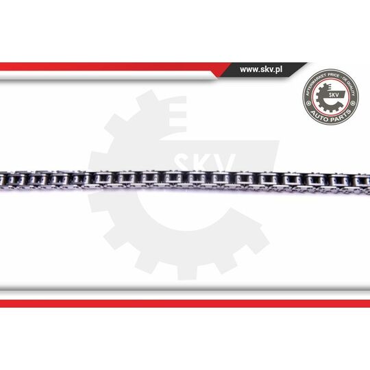 21SKV121 - Timing Chain Kit 