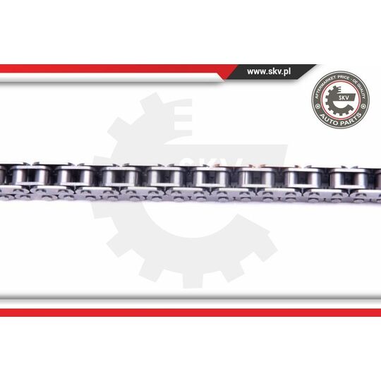 21SKV205 - Timing Chain Kit 