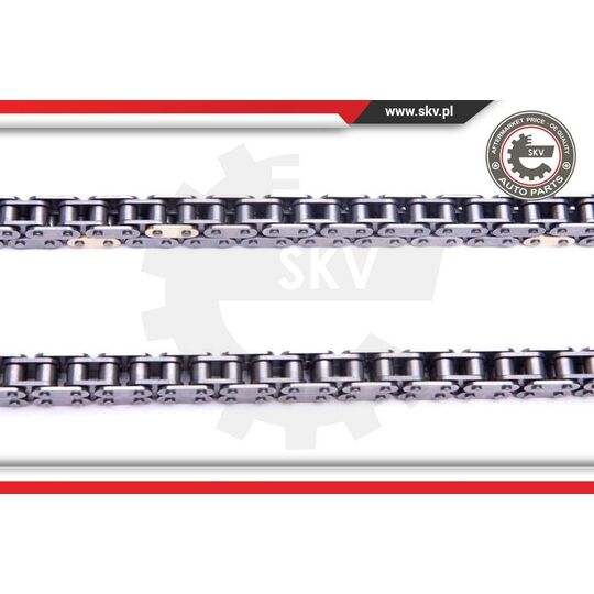 21SKV241 - Timing Chain Kit 