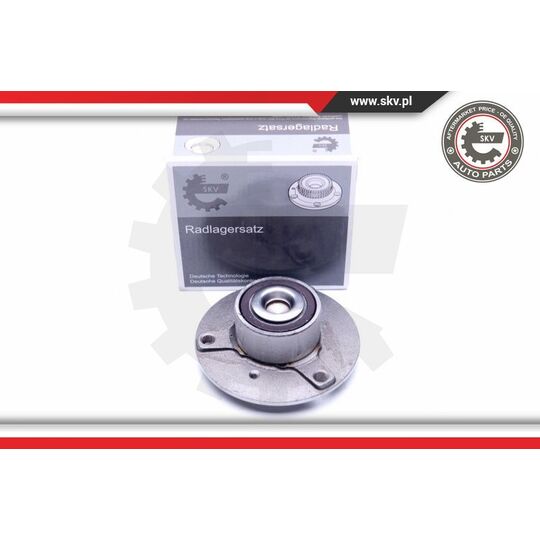 29SKV189 - Wheel Bearing Kit 