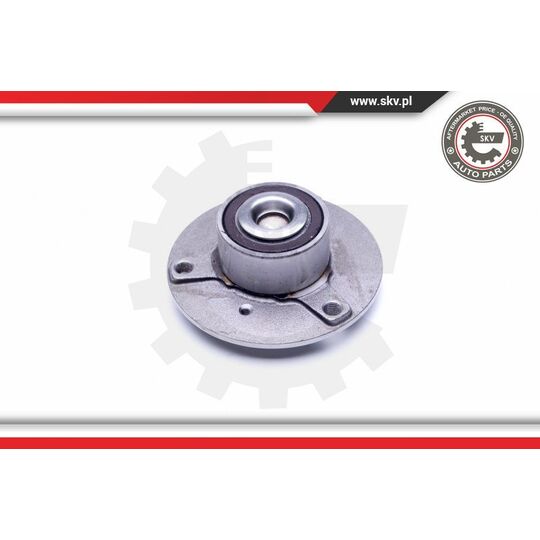 29SKV189 - Wheel Bearing Kit 