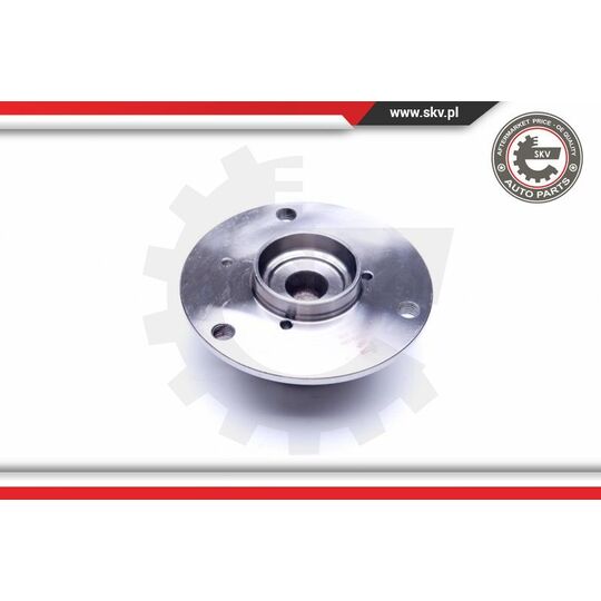 29SKV189 - Wheel Bearing Kit 