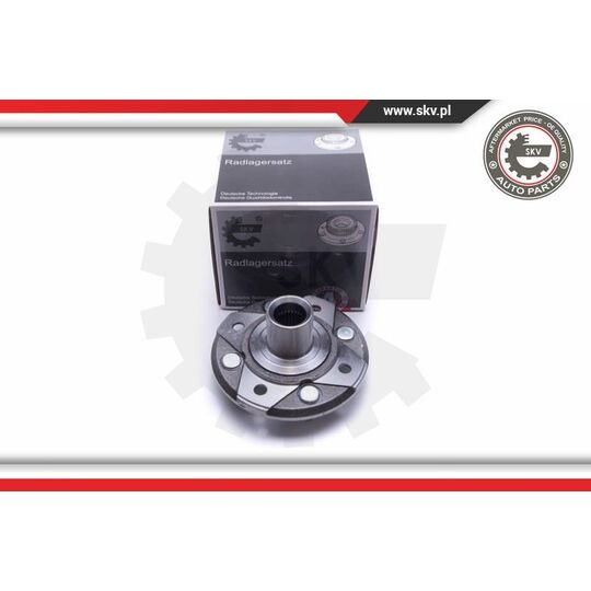 29SKV462 - Wheel Bearing Kit 