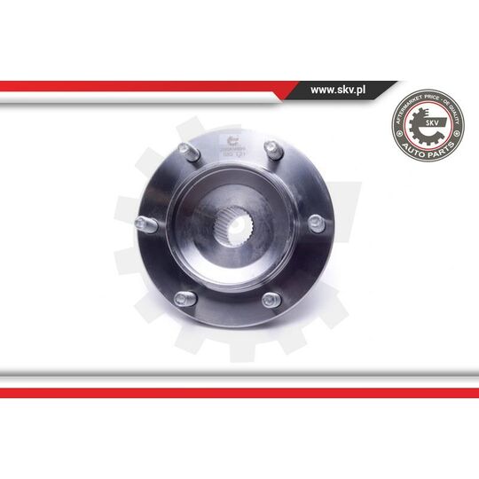 29SKV495 - Wheel Bearing Kit 