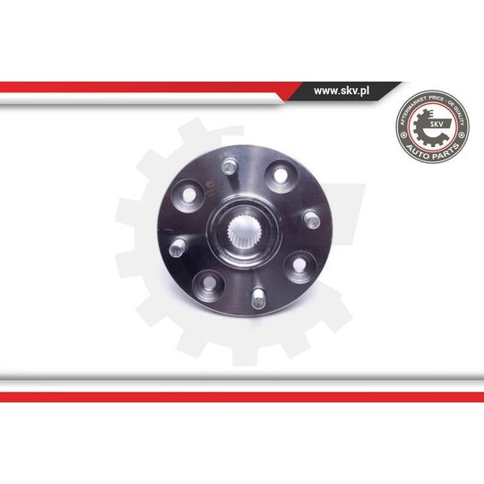 29SKV462 - Wheel Bearing Kit 