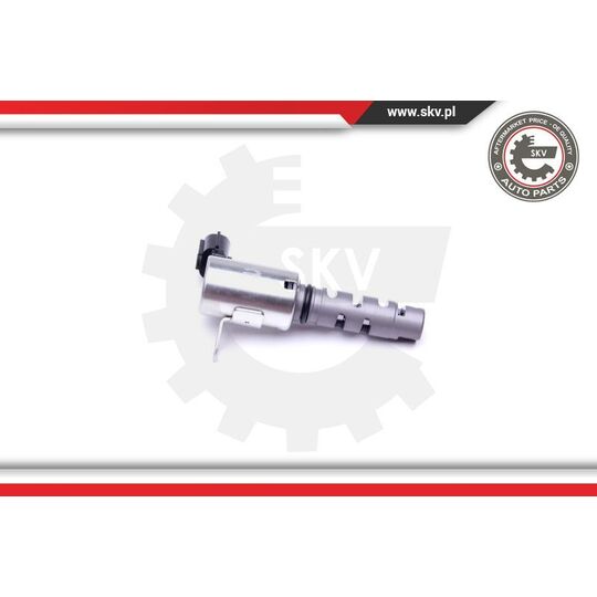 39SKV061 - Control Valve, Camshaft Adjustment 