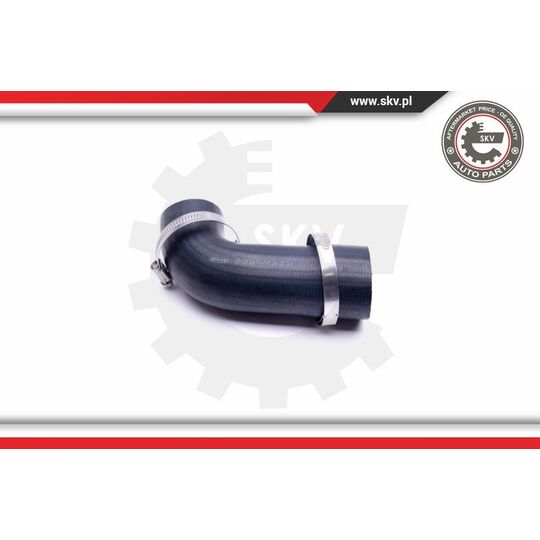 43SKV173 - Charger Air Hose 