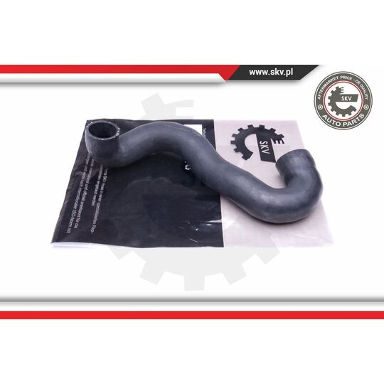 43SKV196 - Charger Air Hose 