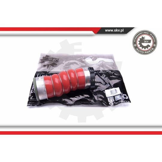 43SKV219 - Charger Air Hose 