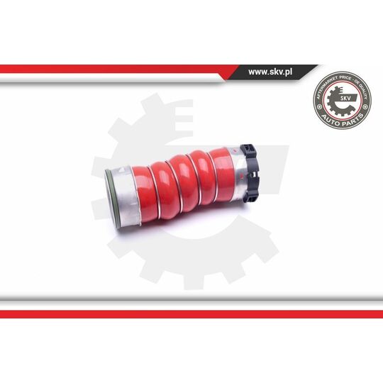 43SKV219 - Charger Air Hose 