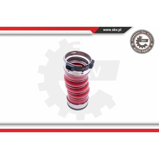 43SKV219 - Charger Air Hose 