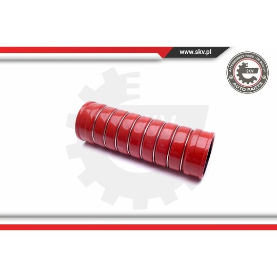 43SKV391 - Charger Air Hose 