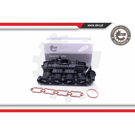 49SKV035 - Intake Manifold Module 