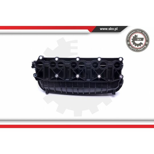 49SKV036 - Intake Manifold Module 