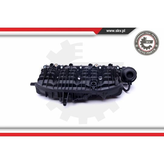 49SKV035 - Intake Manifold Module 