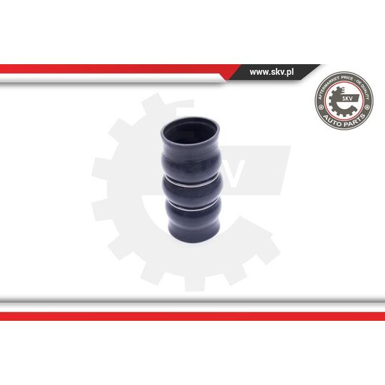 54SKV139 - Charger Air Hose 