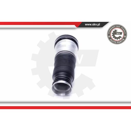 58SKV065 - Air Spring Strut 