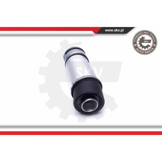 58SKV063 - Air Spring Strut 